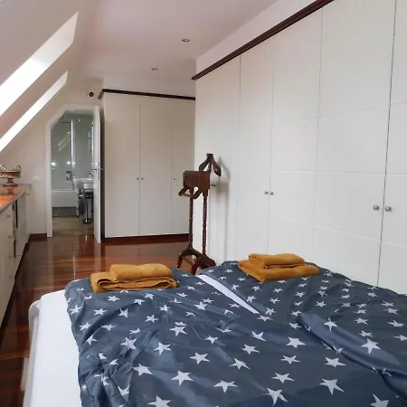 Dergomaska Apartma *